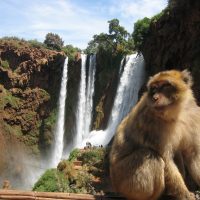 ouzoud waterfalls