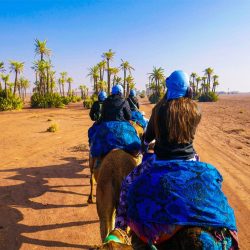 camel marrakech activities