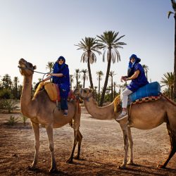 excursion maroctrips